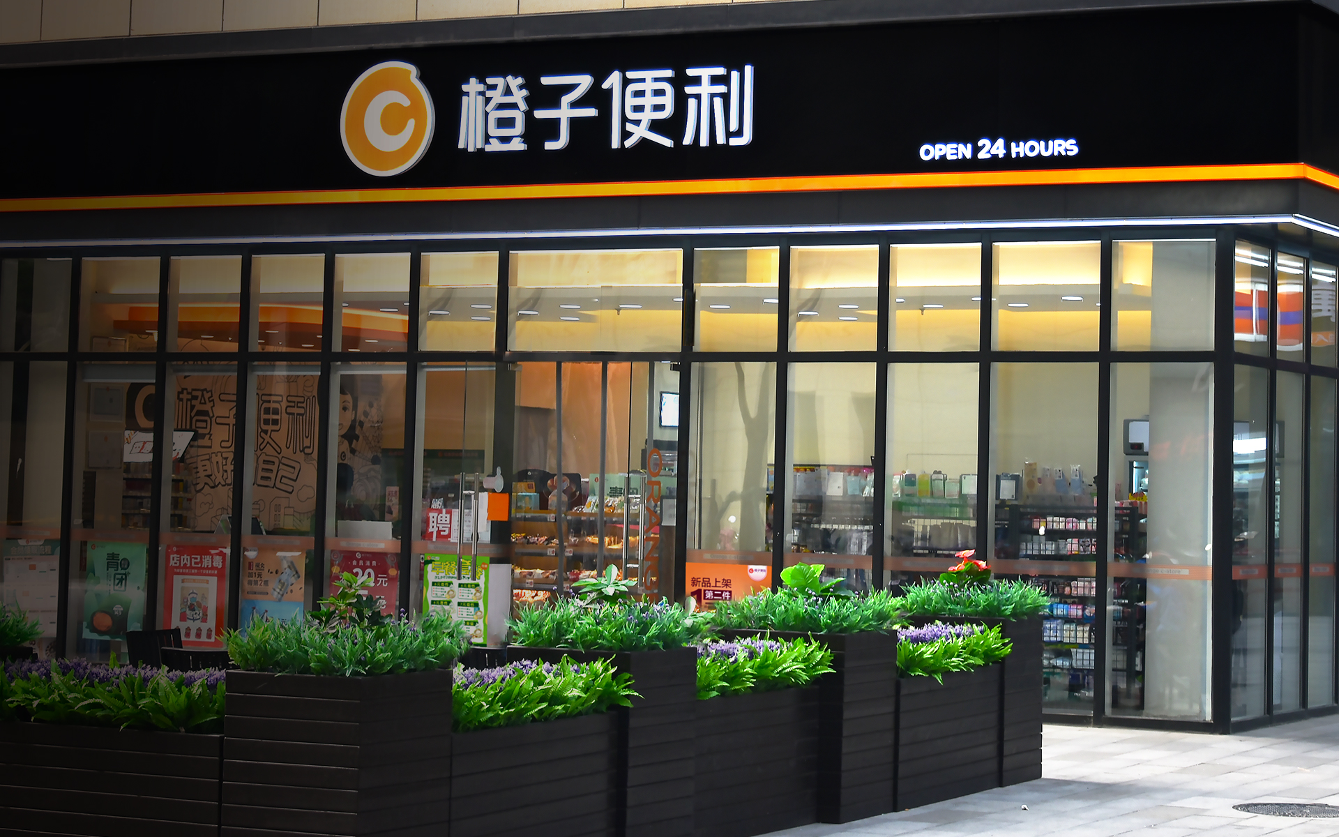 遇见橙子，遇见更好的自己
